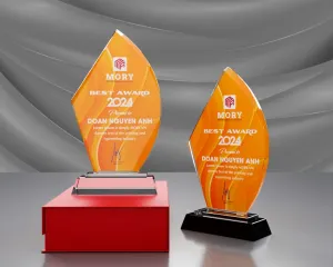 Kỷ niệm chương pha lê PL01