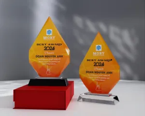 Kỷ niệm chương pha lê PL04