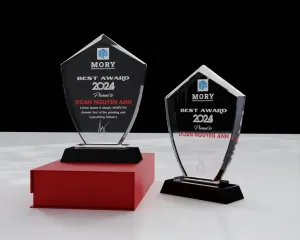 Kỷ niệm chương pha lê PL06