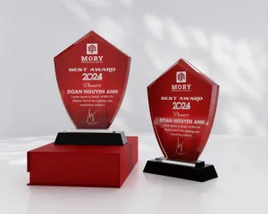 Kỷ niệm chương pha lê PL06