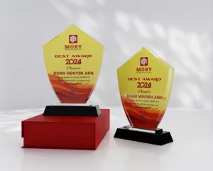 Kỷ niệm chương pha lê PL06