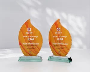 Kỷ niệm thủy tinh TT07