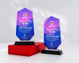 Kỷ niệm chương pha lê PL10