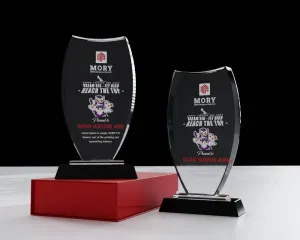 Kỷ niệm chương pha lê PL13