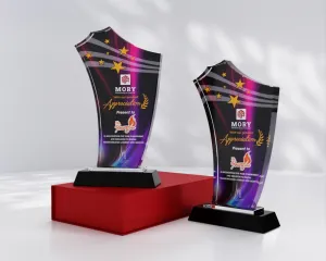Kỷ niệm chương pha lê PL14