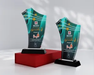 Kỷ niệm chương pha lê PL14