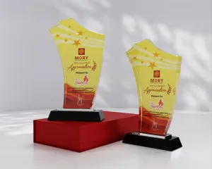 Kỷ niệm chương pha lê PL14