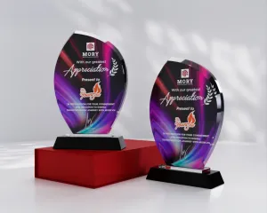 Kỷ niệm chương pha lê PL15