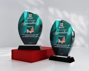 Kỷ niệm chương pha lê PL15