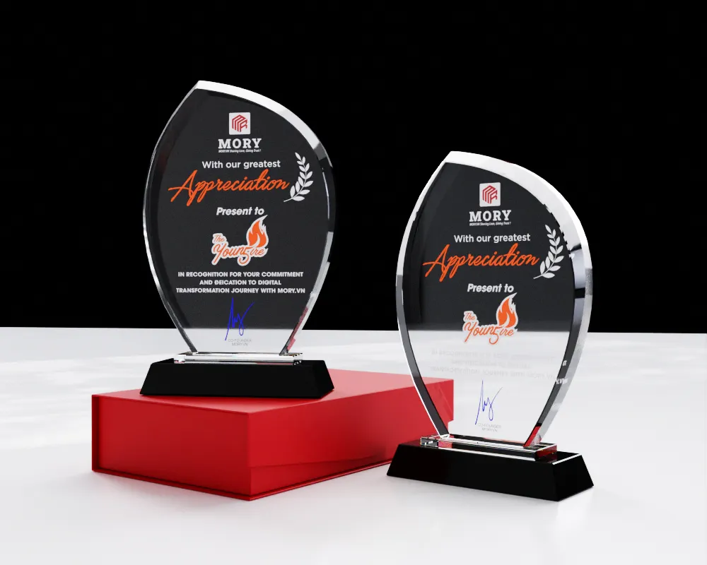 Kỷ niệm chương pha lê PL15