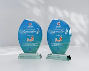 Kỷ niệm chương thủy tinh TT15