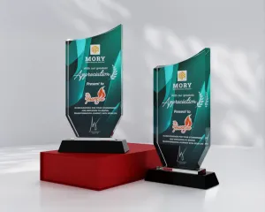 Kỷ niệm chương pha lê PL16