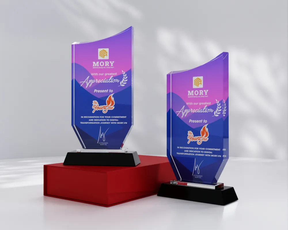 Kỷ niệm chương pha lê PL16