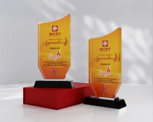 Kỷ niệm chương pha lê PL16 (Phôi Pha lê)