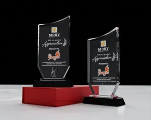 Kỷ niệm chương pha lê PL16