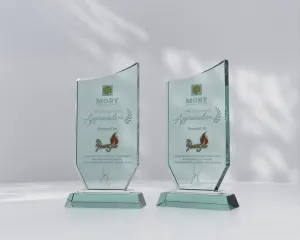 Kỷ niệm chương thủy tinh TT16