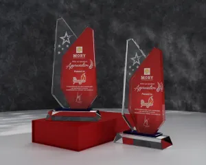 Kỷ niệm chương pha lê PL17