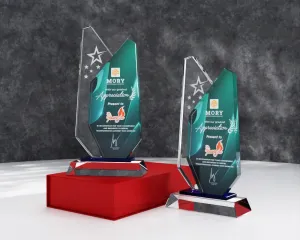 Kỷ niệm chương pha lê PL17