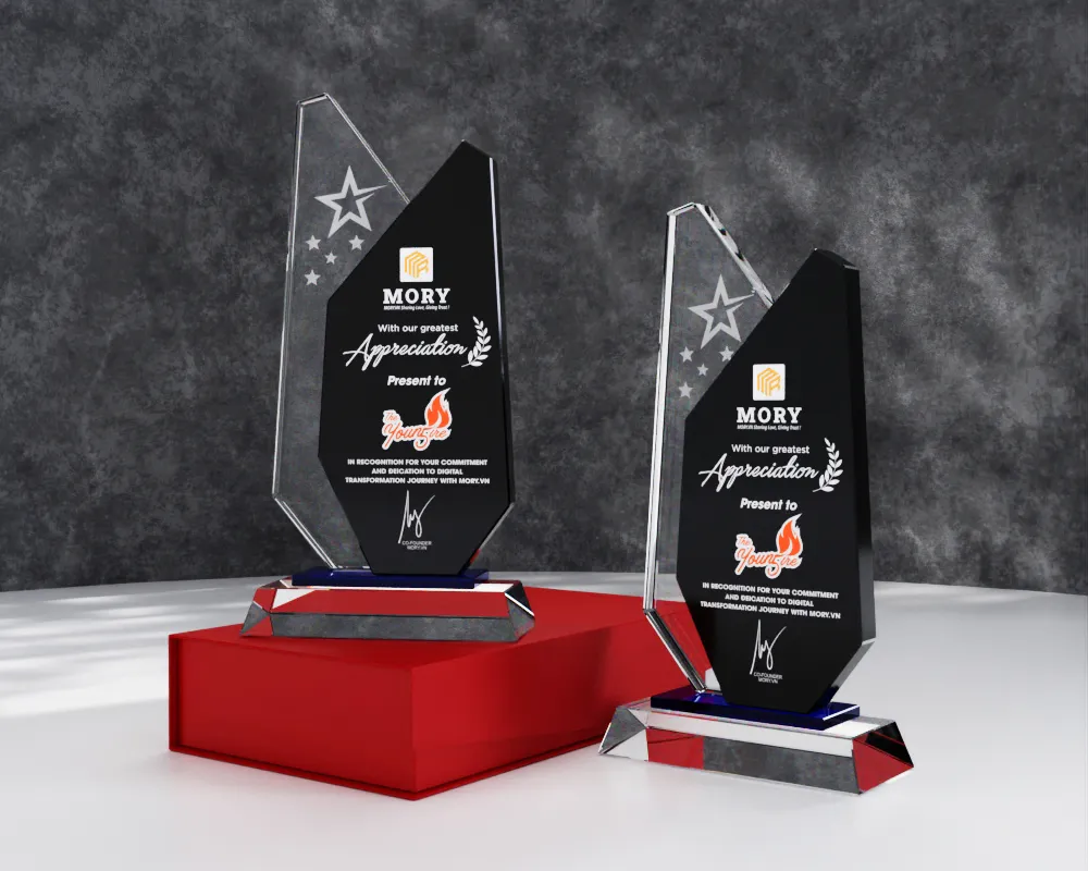 Kỷ niệm chương pha lê PL17