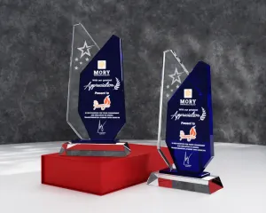 Kỷ niệm chương pha lê PL17