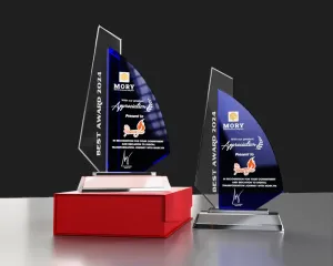 Kỷ niệm chương pha lê PL18