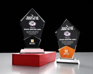 Kỷ niệm chương pha lê PL19