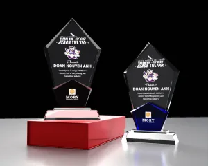 Kỷ niệm chương pha lê PL19