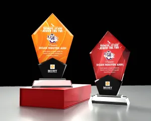 Kỷ niệm chương pha lê PL19