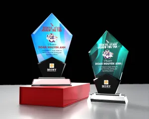 Kỷ niệm chương pha lê PL19