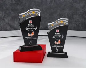 Kỷ niệm chương pha lê PL20