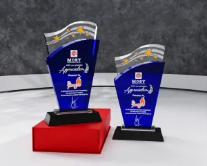 Kỷ niệm chương pha lê PL20