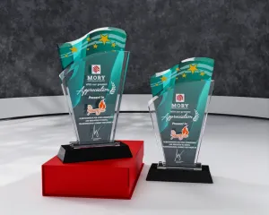 Kỷ niệm chương pha lê PL20