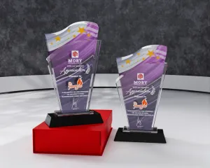 Kỷ niệm chương pha lê PL20