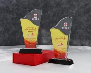 Kỷ niệm chương pha lê PL21