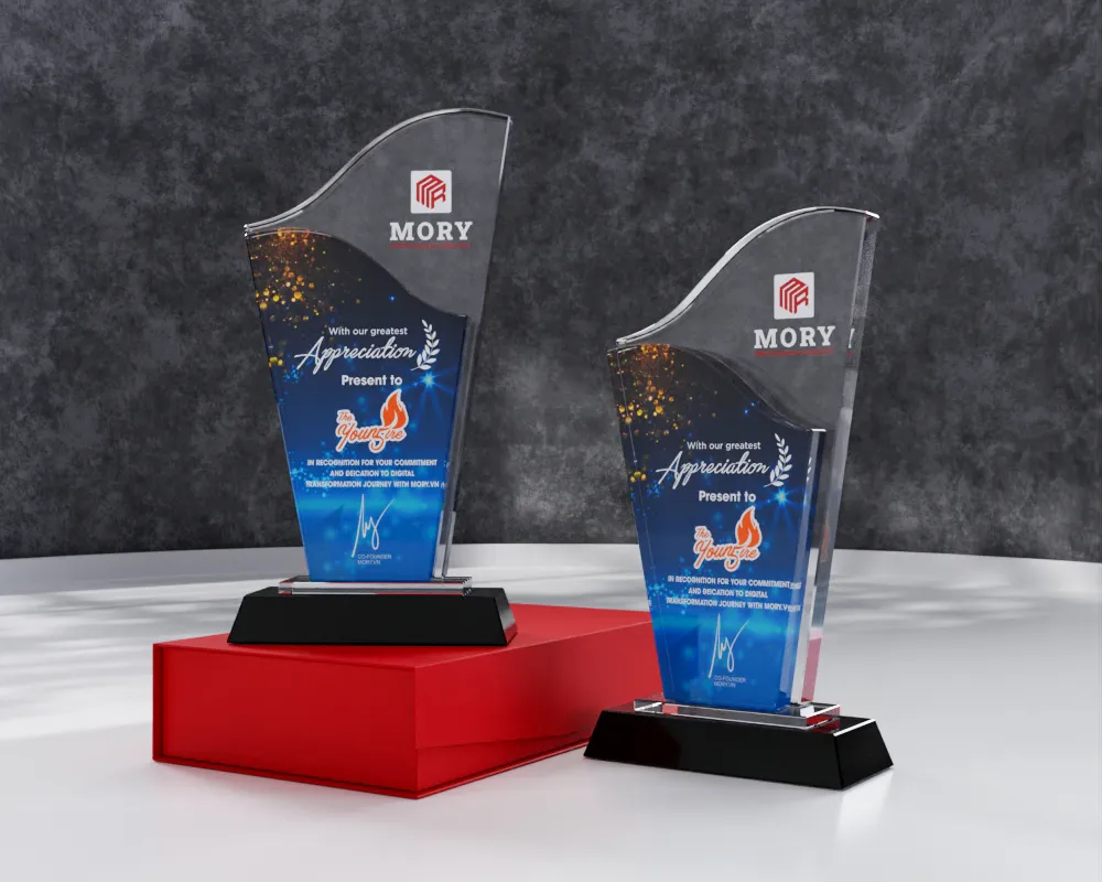 Kỷ niệm chương pha lê PL21