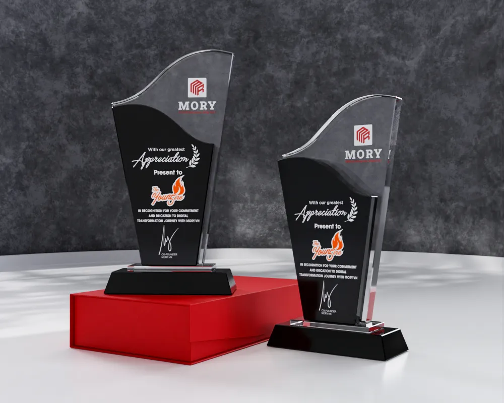 Kỷ niệm chương pha lê PL21