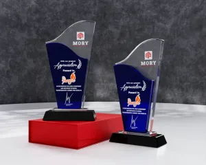 Kỷ niệm chương pha lê PL21