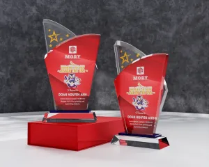 Kỷ niệm chương pha lê PL22