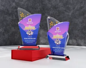 Kỷ niệm chương pha lê PL22