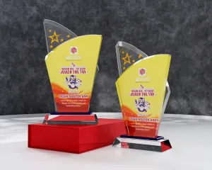 Kỷ niệm chương pha lê PL22