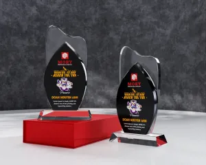 Kỷ niệm chương pha lê PL23