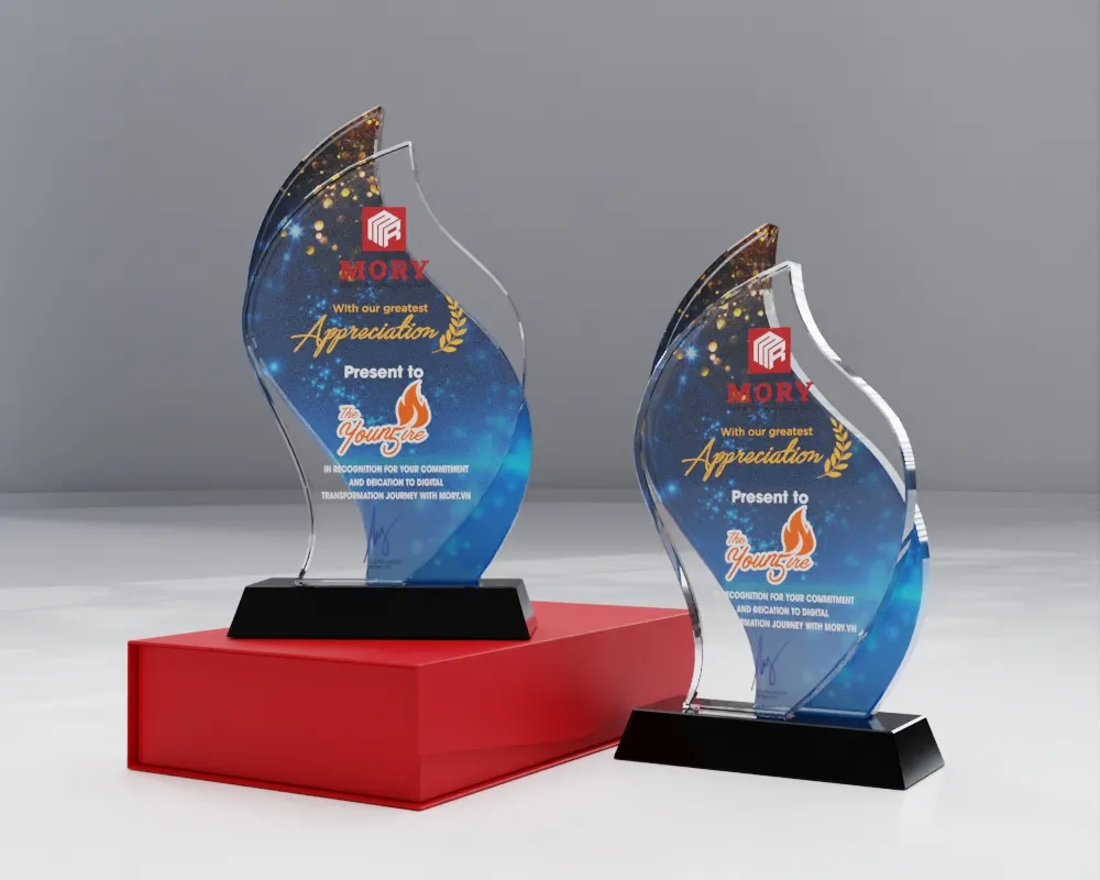 Kỷ niệm chương pha lê PL26