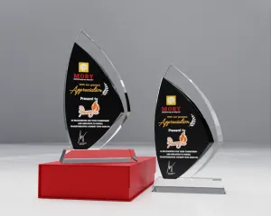 Kỷ niệm chương pha lê PL27
