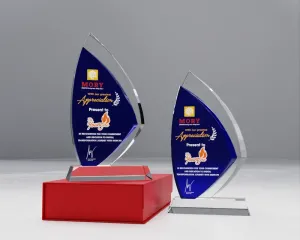 Kỷ niệm chương pha lê PL27