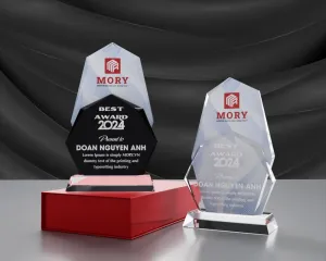 Kỷ niệm chương pha lê PL29