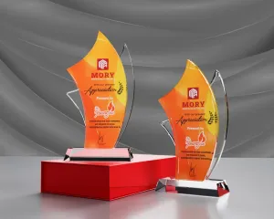 Kỷ niệm chương pha lê PL30