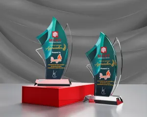 Kỷ niệm chương pha lê PL30
