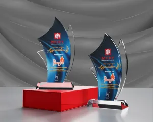Kỷ niệm chương pha lê PL30