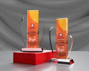 Kỷ niệm chương pha lê PL31