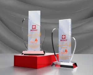 Kỷ niệm chương pha lê PL31